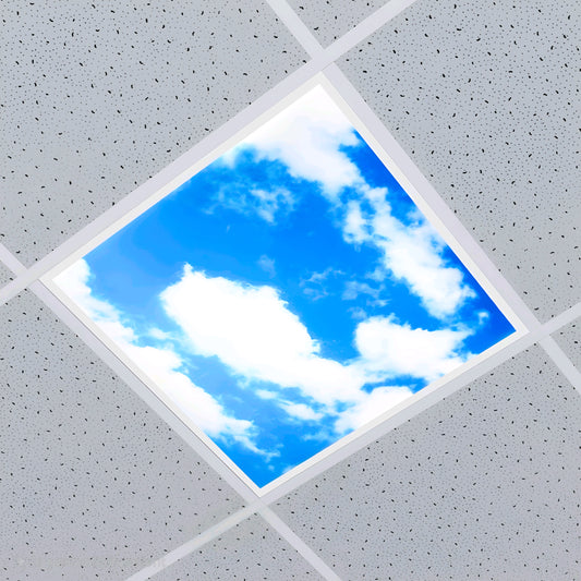 48W LED 600x600 Ultra Bright Sky Panel Light