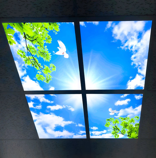Pack of Four LED 600x600 Ultra Bright Sky Panel Light with Bird and Tree (Free Delivery)