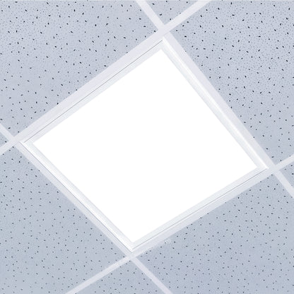 LED 600x600 Ultra Bright Plain Panel Light Edgelit/Backlit