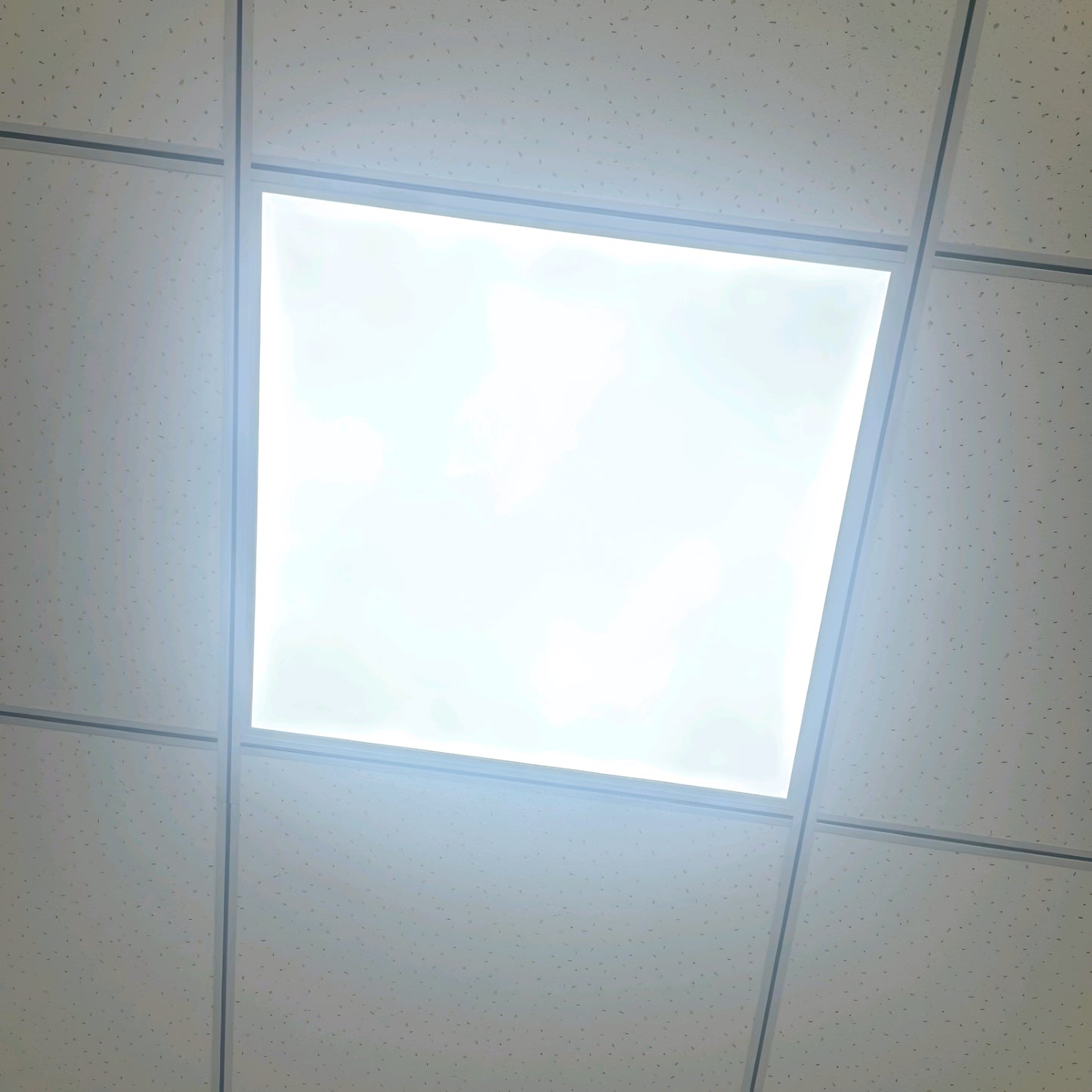 LED 600x600 Ultra Bright Plain Panel Light Edgelit/Backlit